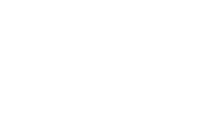Logo des vdiv Baden-Württemberg in weiß